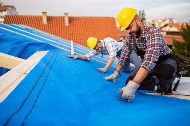 Best Roof Insulation Installation  in Desert Palms, CA